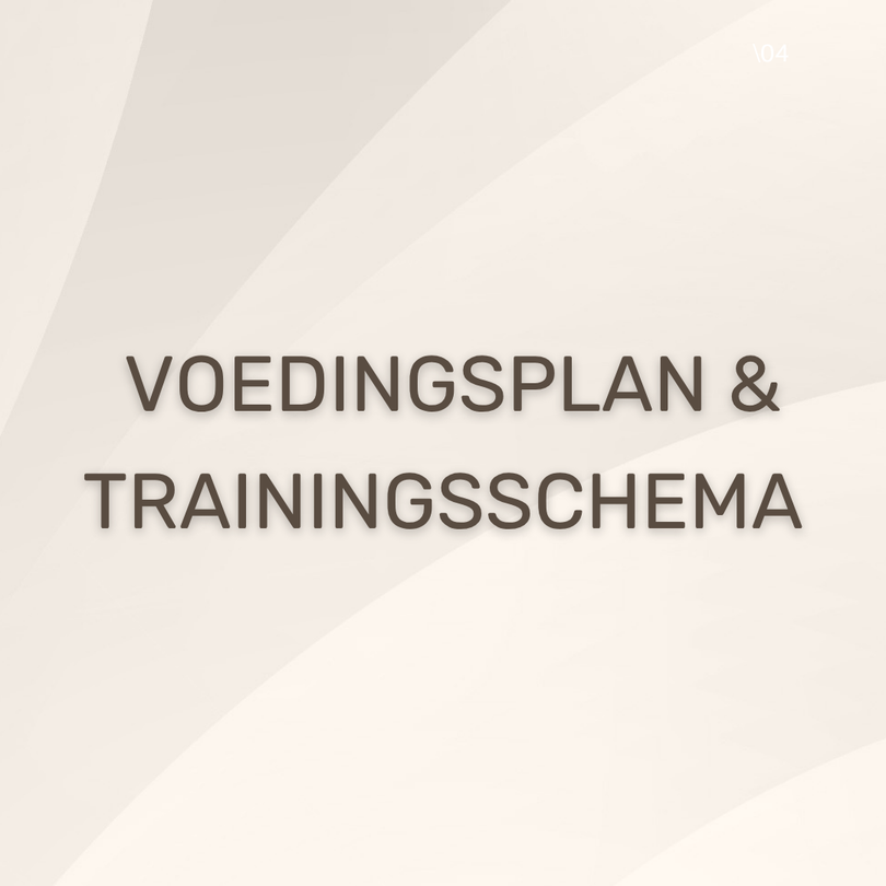 Voedingsplan Trainingsschema