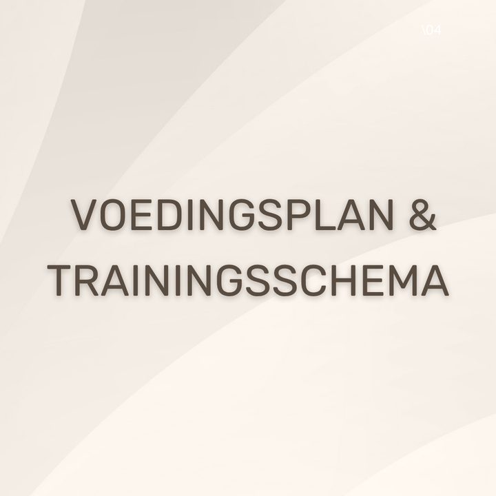 Voedingsplan Trainingsschema